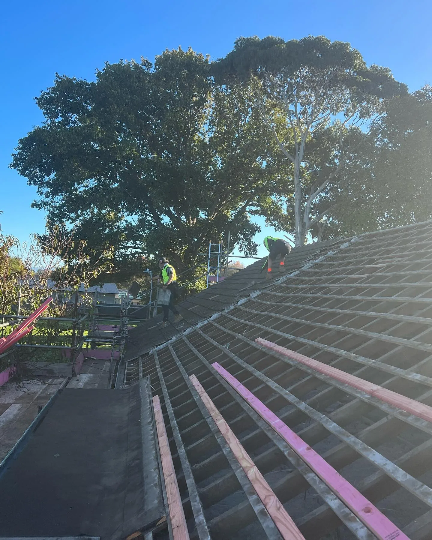 Re-roofing in progress